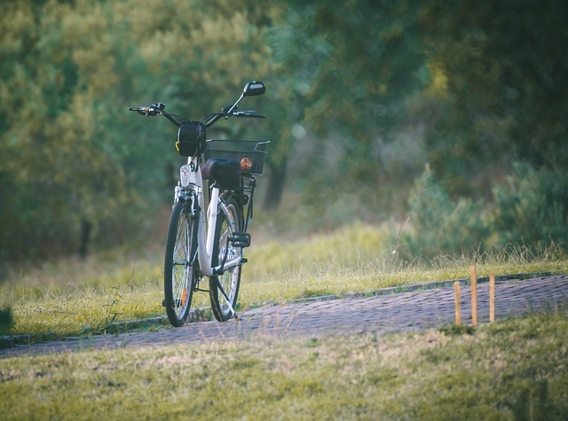 Quanto si risparmia con una bici elettrica